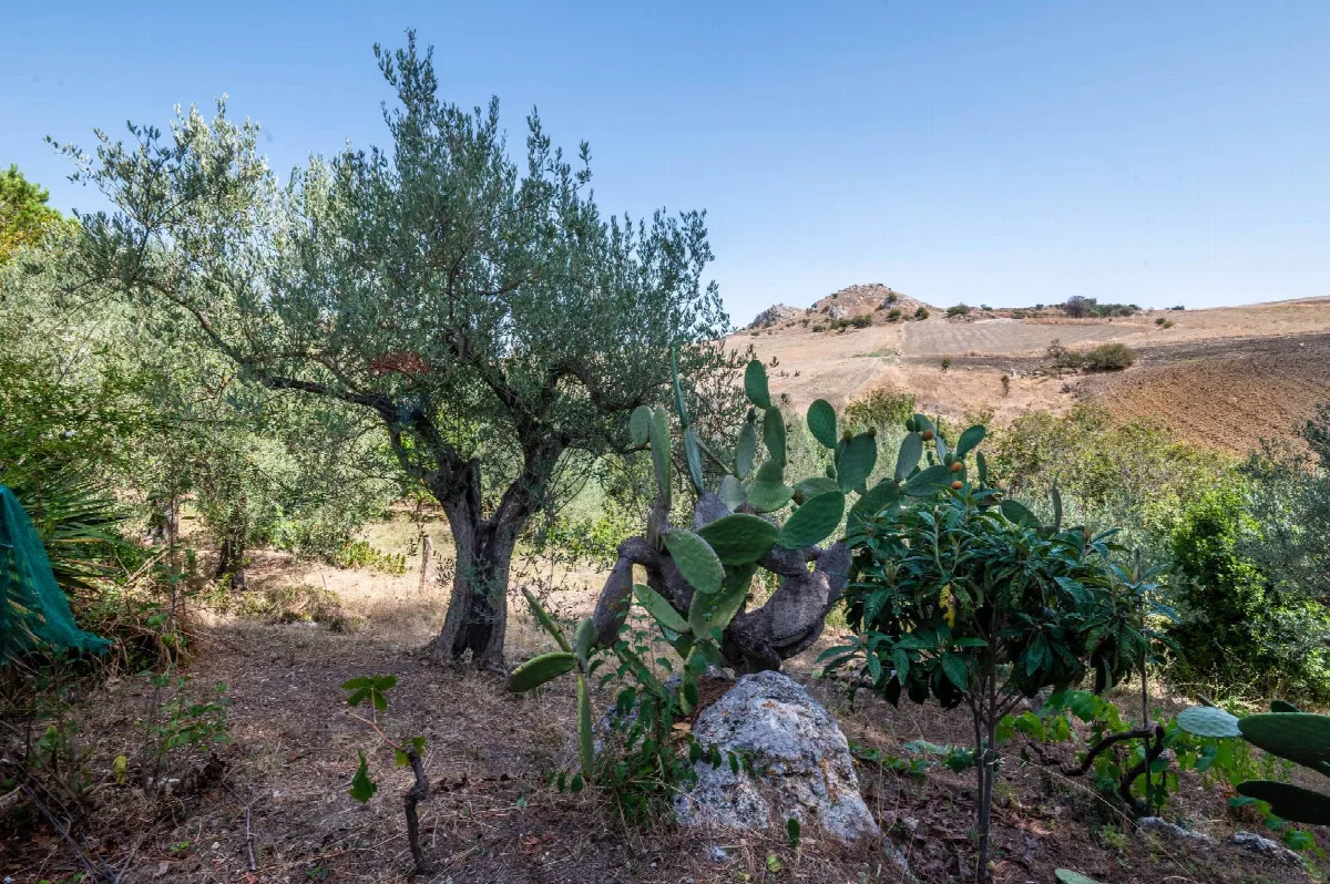 Villa in vendita a Caltagirone - foto 2