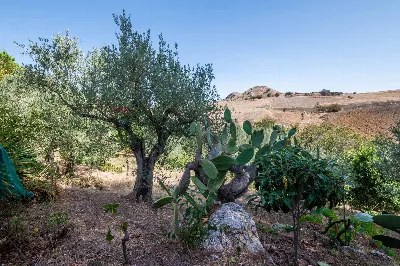 Villa in vendita a Caltagirone - foto 2