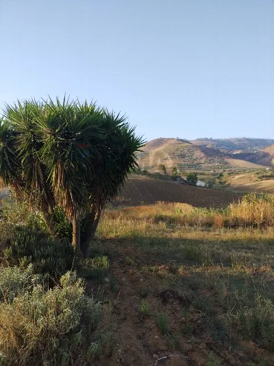 Rustico/Casale in vendita a San Michele di... - foto 10
