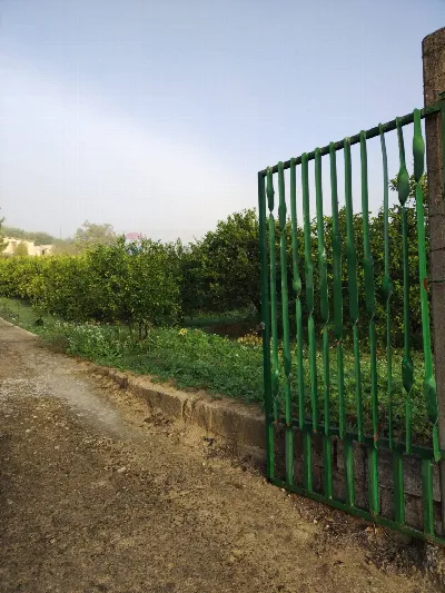 Villa in vendita a Caltagirone - foto 8