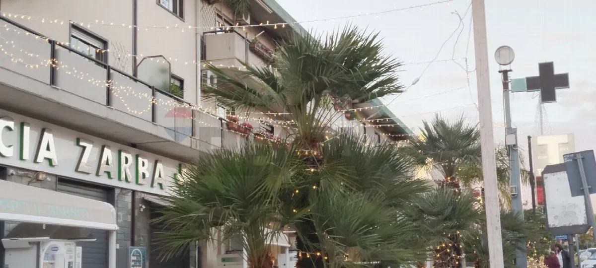 Palazzo/Stabile in vendita a Catania, Rapisardi, Ballo, Cibele - foto 4