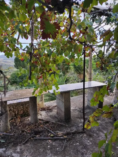 Villa in vendita a Mirabella Imbaccari - foto 6