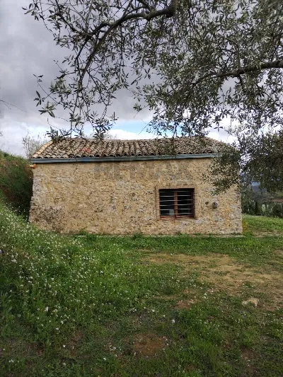 Rustico/Casale in vendita a Piazza Armerin... - foto 5