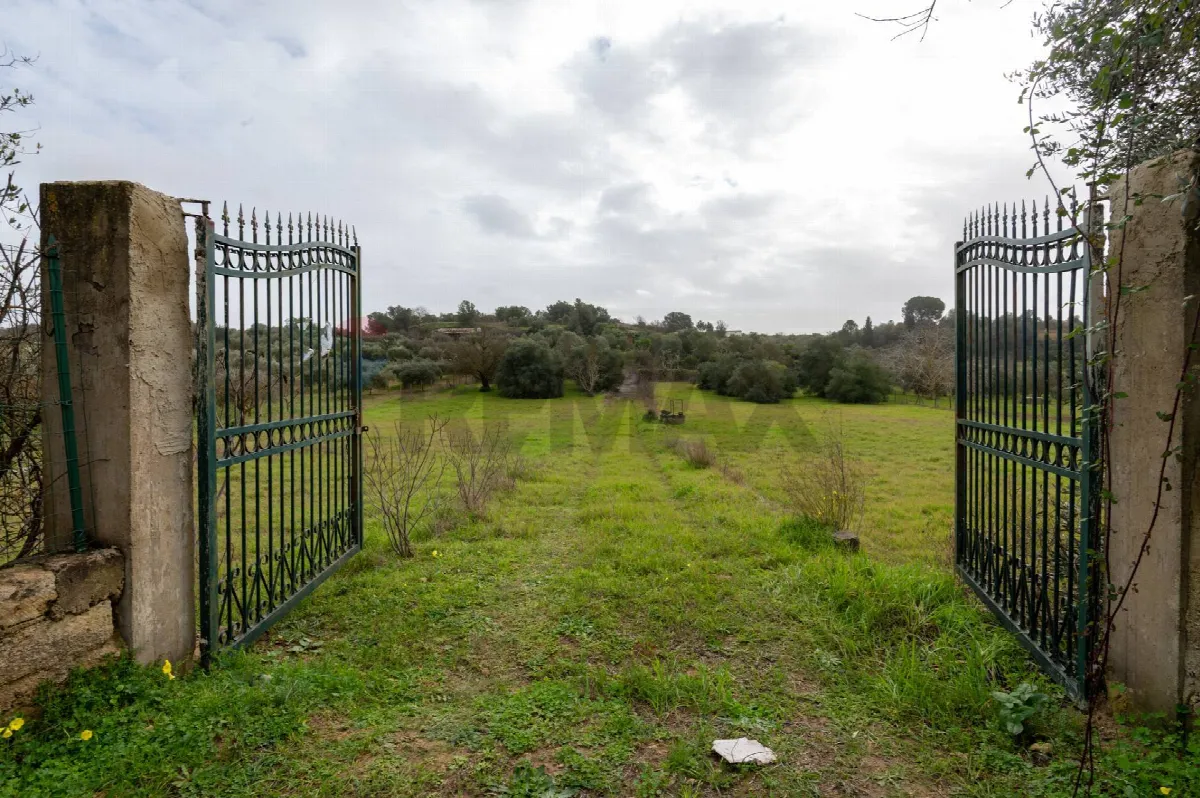 Villa in vendita a Grammichele - foto 5