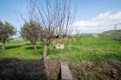 Villa in vendita a Piazza Armerina - foto 10