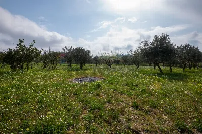 Villa in vendita a Piazza Armerina - foto 6