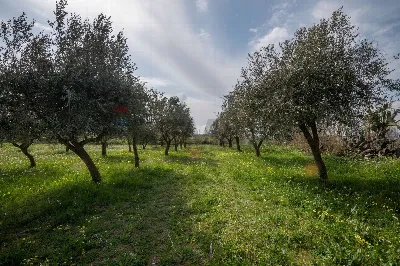 Villa in vendita a Piazza Armerina - foto 7
