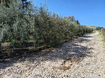 Villa in vendita a Ramacca - foto 3