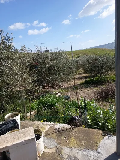 Villa in vendita a Ramacca - foto 4