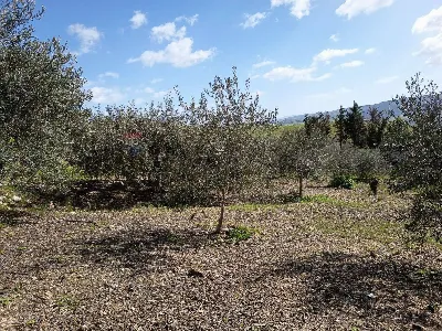 Villa in vendita a Ramacca - foto 8