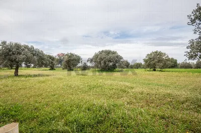Villa in vendita a Caltagirone - foto 6