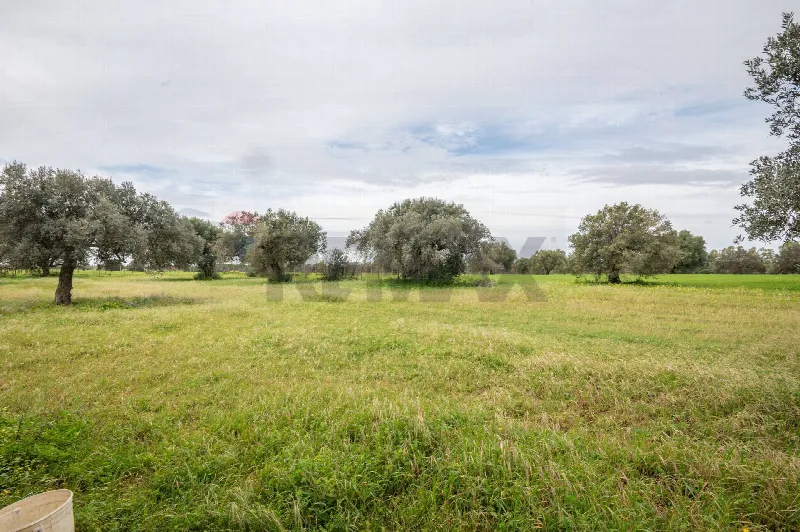 Villa in vendita a Caltagirone - foto 6