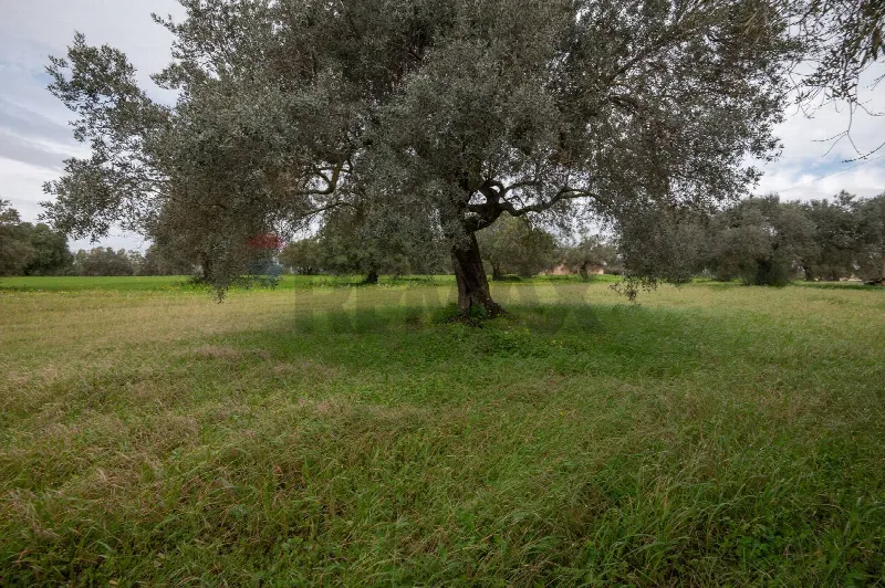 Villa in vendita a Caltagirone - foto 7