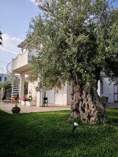 Villa in vendita a Noto - foto 2