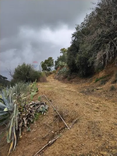 Rustico/Casale in vendita a Grammichele - foto 10