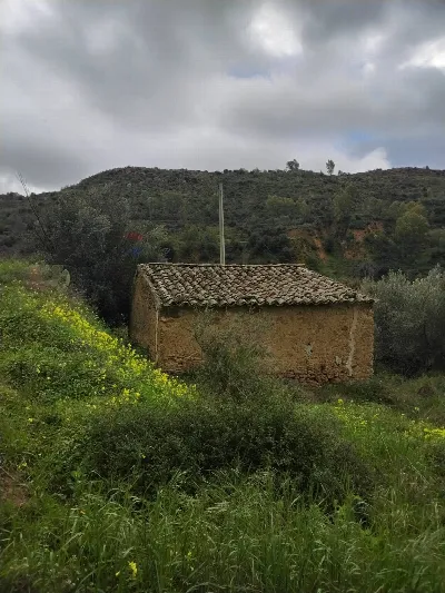 Rustico/Casale in vendita a Grammichele - foto 3