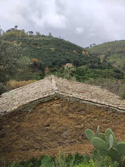Rustico/Casale in vendita a Grammichele - foto 4