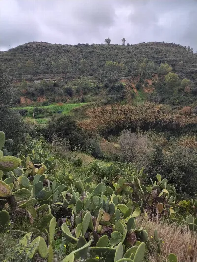 Rustico/Casale in vendita a Grammichele - foto 7