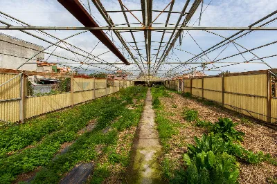 Rustico/Casale in vendita a Acireale - foto 6