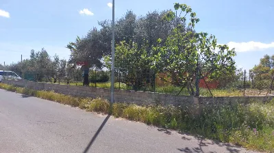 Villa in vendita a Caltagirone - foto 3