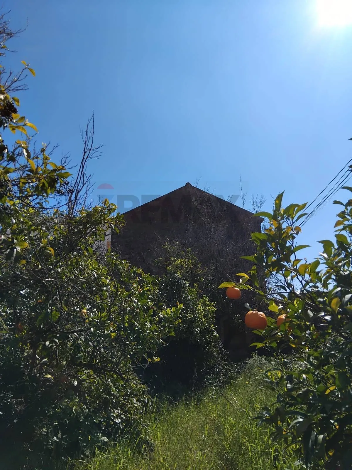 Rustico/Casale in vendita ad Acireale - foto 4