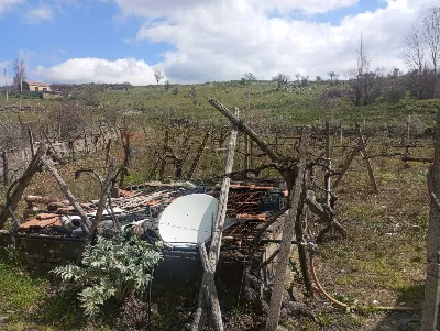 Rustico/Casale in vendita a Randazzo - foto 2