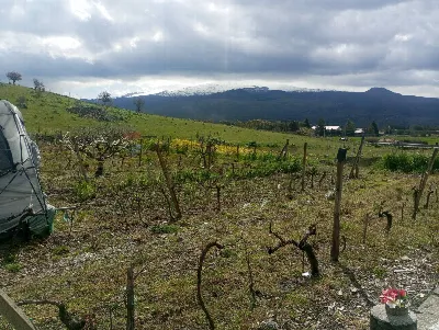 Rustico/Casale in vendita a Randazzo - foto 3