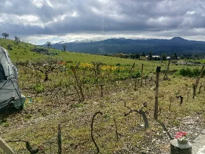 Rustico/Casale in vendita a Randazzo - foto 4