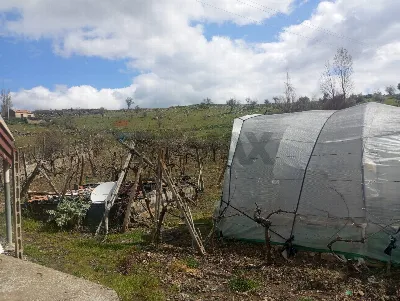 Rustico/Casale in vendita a Randazzo - foto 5