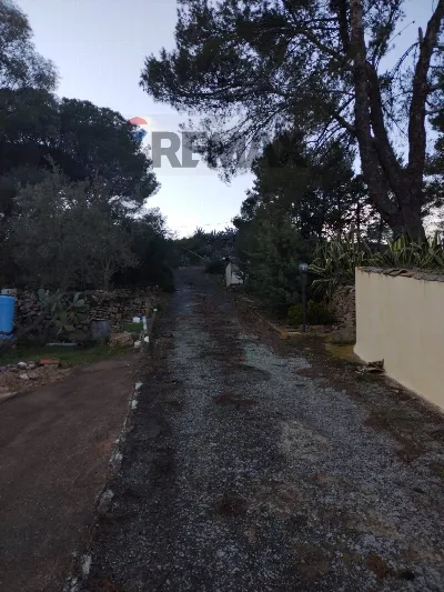 Villa in vendita a Piazza Armerina - foto 4