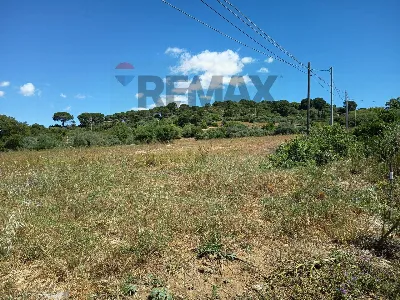 Rustico/Casale in vendita a Caltagirone - foto 10