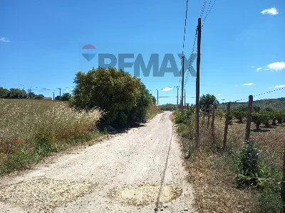 Rustico/Casale in vendita a Caltagirone - foto 9