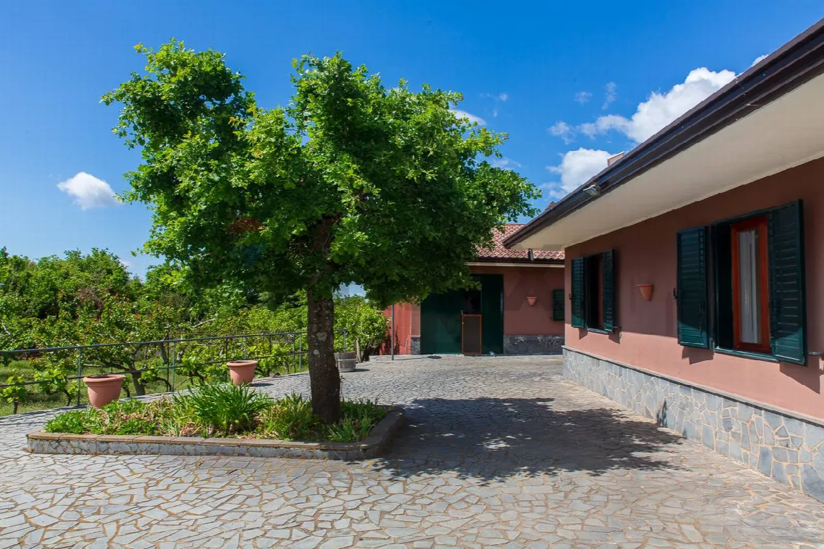 Villa in vendita a Biancavilla - foto 5