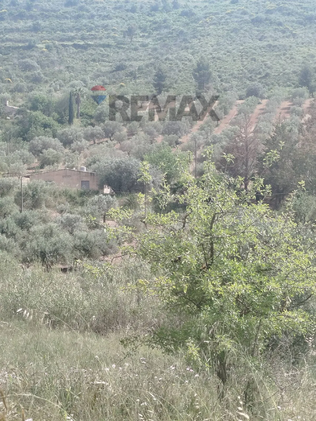 Villa in vendita a Caltagirone - foto 2