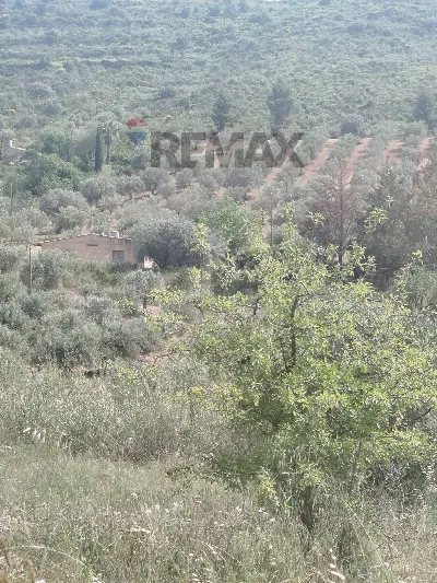 Villa in vendita a Caltagirone - foto 2
