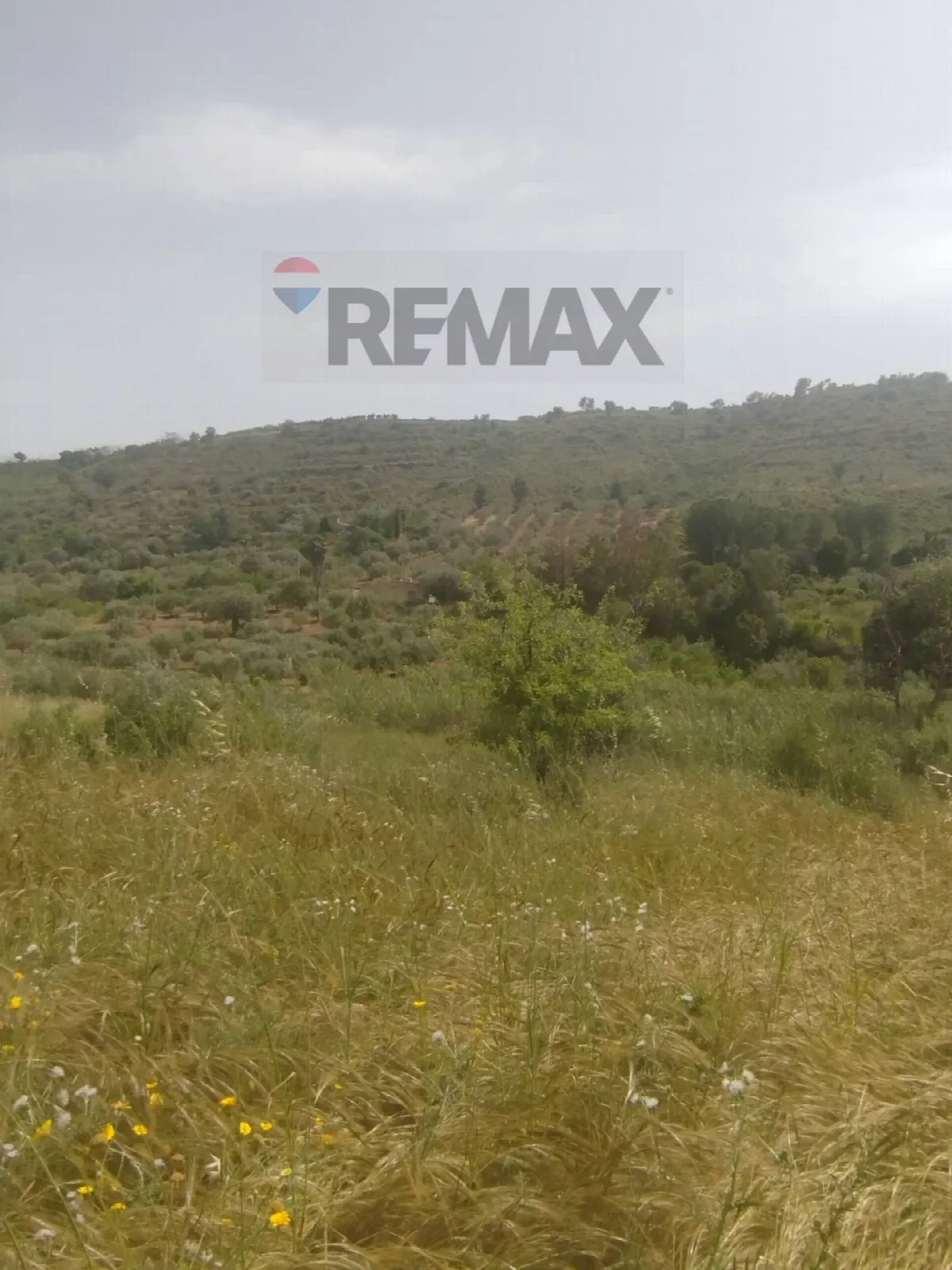 Villa in vendita a Caltagirone - foto 3