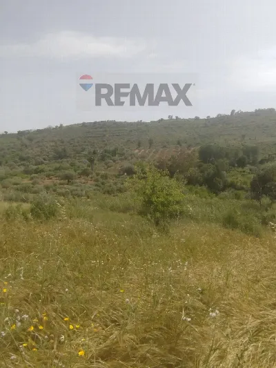 Villa in vendita a Caltagirone - foto 3