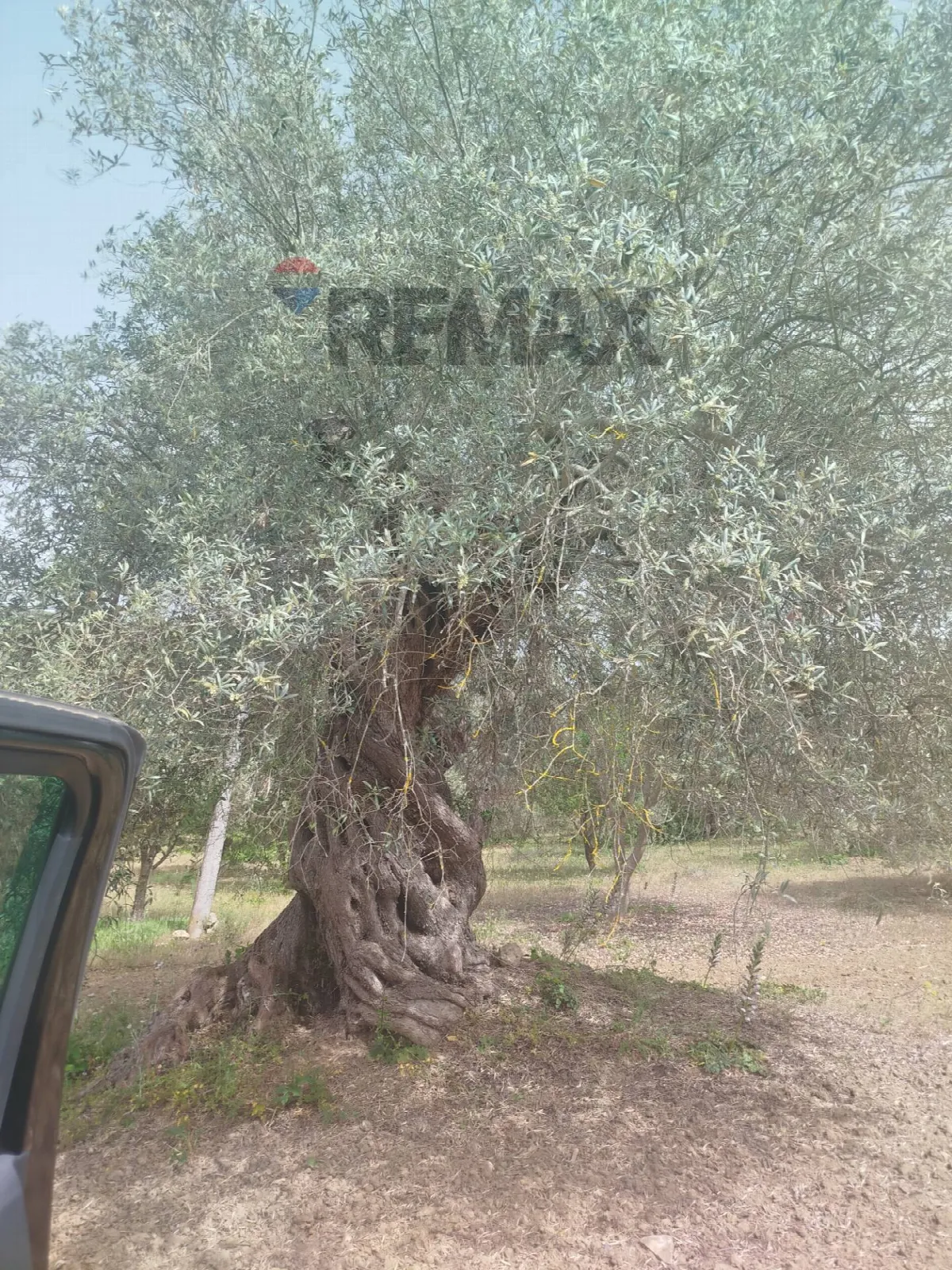 Villa in vendita a Caltagirone - foto 4