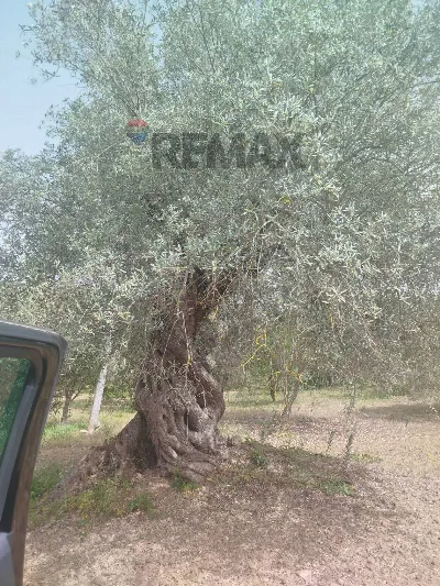 Villa in vendita a Caltagirone - foto 4