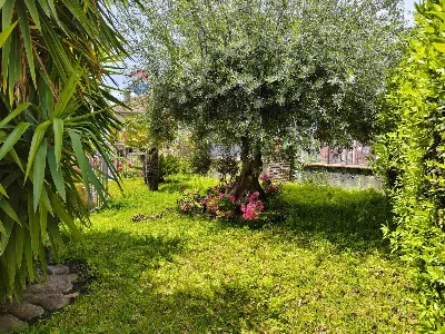 Villa in vendita a Sant'Agata li Battiati - foto 7