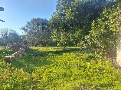 Villa in vendita a Aci Bonaccorsi - foto 3