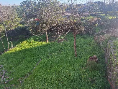 Villa in vendita a Aci Bonaccorsi - foto 4