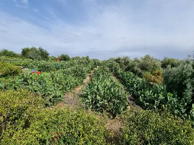 Villa in vendita a Paterno - foto 10