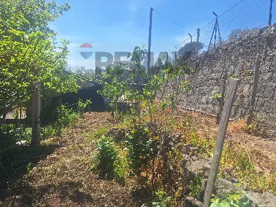 Rustico/Casale in vendita a Linguaglossa - foto 3