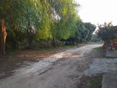 Rustico/Casale in vendita a Lentini - foto 3
