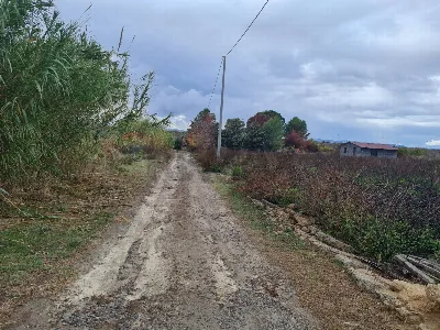 Rustico/Casale in vendita a Lentini - foto 6