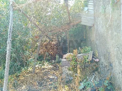 Rustico/Casale in vendita a Riposto - foto 9