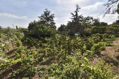 Villa in vendita a Ragalna - foto 4