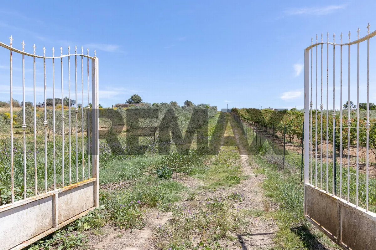 Villa in vendita a Caltagirone - foto 2