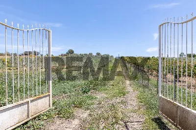 Villa in vendita a Caltagirone - foto 2